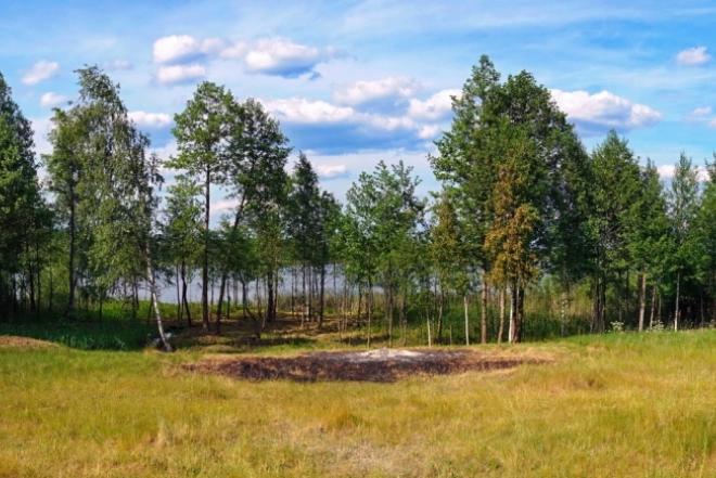 66 arų sklypas su Žaugėdų ežero pakrante-0
