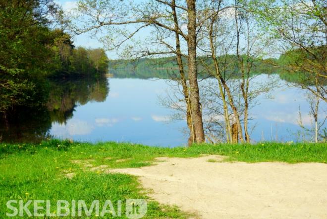 prie Vencavų ežero prie Balčio ežero (kranto 50 metrų) prie miško pušynas-0