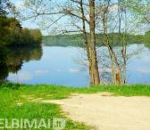 prie Vencavų ežero prie Balčio ežero (kranto 50 metrų) prie miško pušynas-0