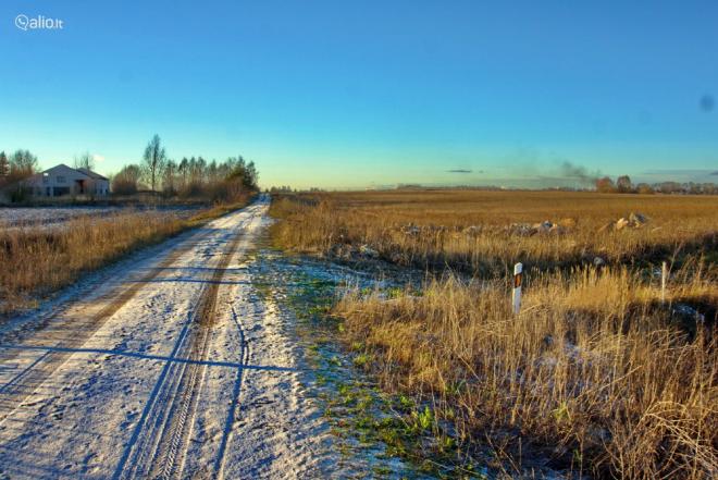49,80 HA SKLYPAS PRIE BISTRAMPOLIO DVARO-0