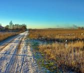 49,80 HA SKLYPAS PRIE BISTRAMPOLIO DVARO-0