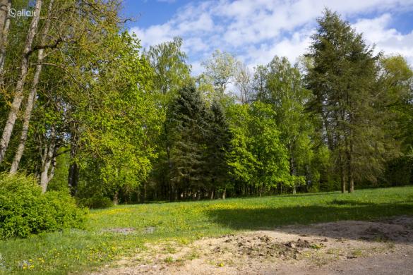 NAMAS KĖDAINIŲ R. SAV., TERESPOLIS-0