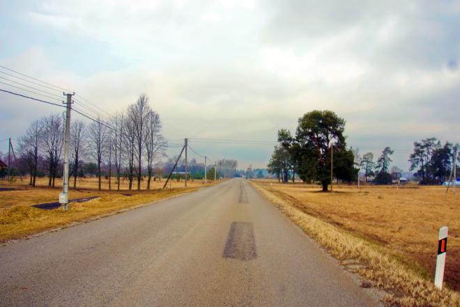 25 A SKLYPAS PANEVĖŽIO R. SAV., TEKORIŠKIS-0