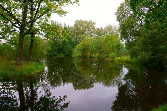 NAMAS PANEVĖŽIO R. SAV., LIŪDYNĖ-0