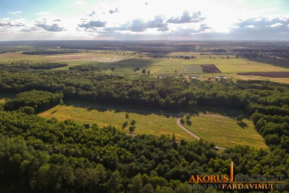 sklypaipardavimui.lt - NAMŲ VALDOS SKLYPAI MIŠKO APSUPTYJE-0