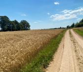 Parduodama sodyba Pakrovkos k. Radviliškio r.-0