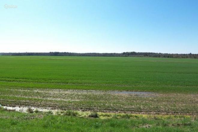 30000 A SKLYPAS ZARASŲ R. SAV., IMBRADAS-0
