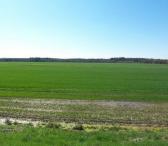 30000 A SKLYPAS ZARASŲ R. SAV., IMBRADAS-0
