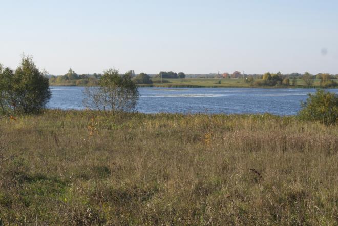 PRIE JOTAINIŲ TVENKINIO 30A. SKLYPAS-0