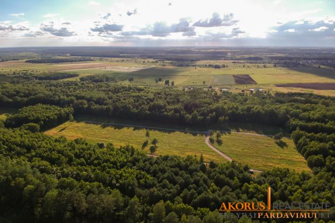 namaipardavimui.lt - NAMŲ VALDOS SKLYPAI MIŠKO APSUPTYJE-0