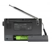 Radijo imtuvas XHDATA D-808-0