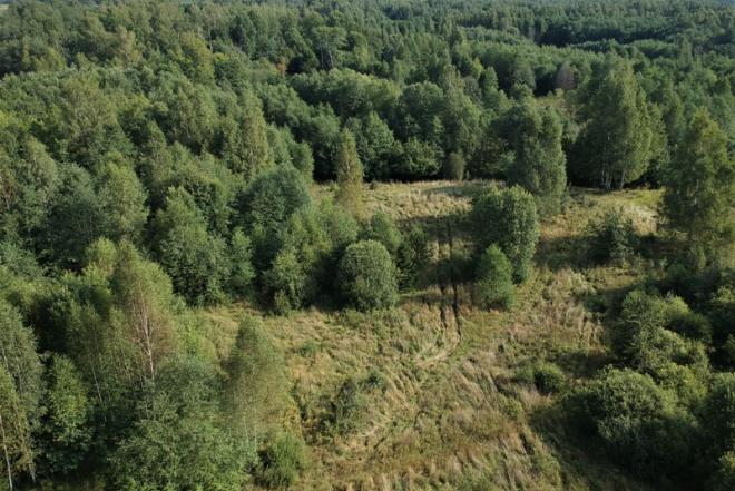 6,02 ha sklypas Baltušavos k. Anykščių r.-0