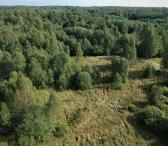 6,02 ha sklypas Baltušavos k. Anykščių r.-0
