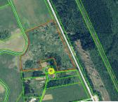 Išnuomojamas žemės sklypas Eigirdų km. 7,8 ha-0