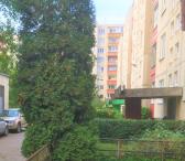NETOLI KAUNO KLINIKŲ IŠNUOMOJAMAS 2 KAMBARIŲ BUTAS ŽUKAUSKO G. NUO SPALIO MĖNESIO 1 DIENOS - TVARKINGAI PORAI ARBA ŠEIMAI (GALI BŪTI SU VAIKAIS IR LAIKYTI AUGINTINĮ).-0