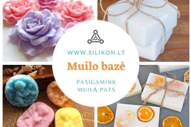 Muilo bazė-0