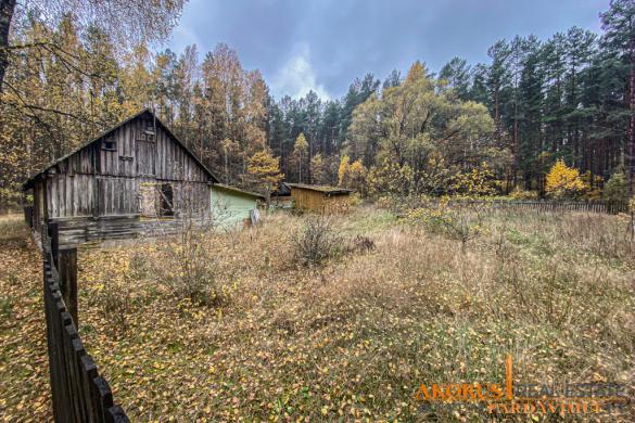 sklypaipardavimui.lt - sklypas miško apsupty-0