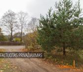 SKLYPAIPARDAVIMUI.LT - SKLYPAS PRIE MIŠKO-0