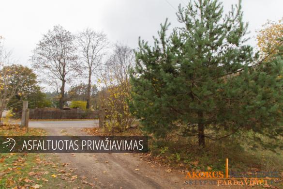 SKLYPAIPARDAVIMUI.LT - SKLYPAS PRIE MIŠKO-0