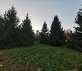 2,5518 HA SKLYPAS PRIE VIEŠO EŽERO KARČIŠKIŲ K. UTENOS R.-0