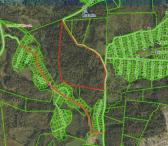 12 ha miškas Karveliškio k. Utenos r.-0