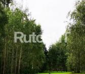 Parduodami sklypai Maciuičių k.-0