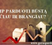 Parduodi ar ruošiesi parduoti NT Kaune ar Kauno rajone?-0