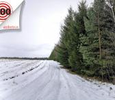 Parduodama nuostabi žemės ūkio valda, kurioje auštant čiulba paukščiai, kurią juosia vešlios žalios eglutės , augintos apie 15 metų .-0