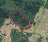 6,83 ha Kalučiškių k. Rokiškio r.-0