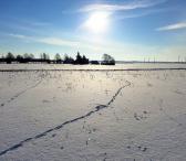 7 a. sklypas Pakuršėnių k. Šiaulių r.-0