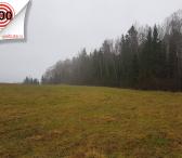 SKLYPAS ZALTRIŠKIŲ K. TAURAGĖS R.-0