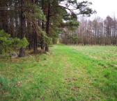 2.09ha sklypas Daubėnų k. Kretingos r.-0