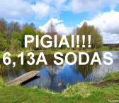 SODAS ŠALIA TVENKINIO-0