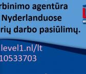 Darbas užsienyje-0