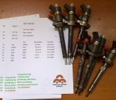 Kuro purkštukas Ford-Focus 0445110259-0