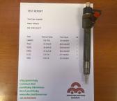 Kuro purkštukas Mercedes-CLK220 0445110177-0