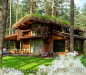 Nr. 242 Namas Zarasuose - pusiasalyje, miškų apsuptyje-0