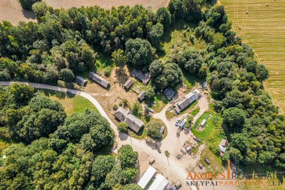 sklypaipardavimui.lt - PARDUODAMAS 35 a NAMŲ VALDA, 3.05 ha ŽEMĖS ŪKIO, 35 a MIŠKO ŪKIO;-0