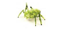 Escarabajo Hexbug - Verde