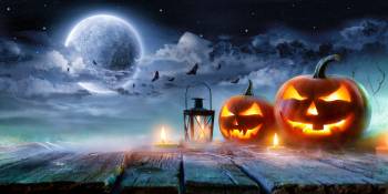 Airb&b Halloween RonReizen pompoenen