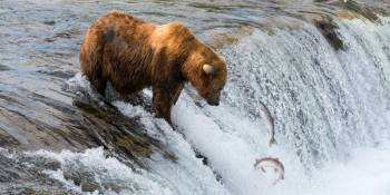 Virtuele wereldreis livestream Holidu RonReizen