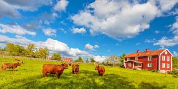 Zweden tips RonReizen Smaland