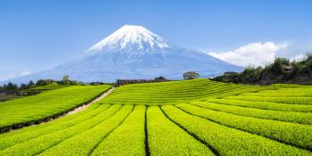 Japan wegdromen RonReizen Shizuoka Mount Fuji