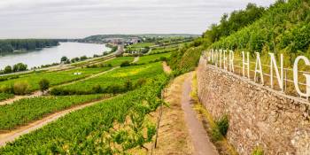 Duitsland fietsen RonReizen Nierstein