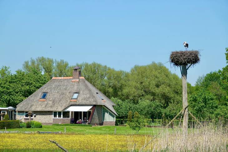 Nederland camper De Camper Club RonReizen ooievaar