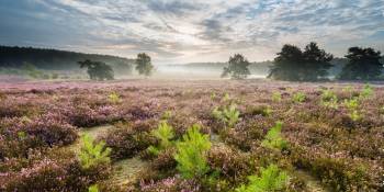 Belgie Fietsen RonReizen