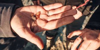 Verborgen schatten Deense kust: amber, het Deense goud