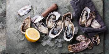 Nederland oesters rapen Holidu RonReizen.nl