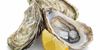 Nederland oesters rapen Holidu RonReizen.nl