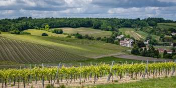 Frankrijk Cognac-streek vijf tips RonReizen.nl